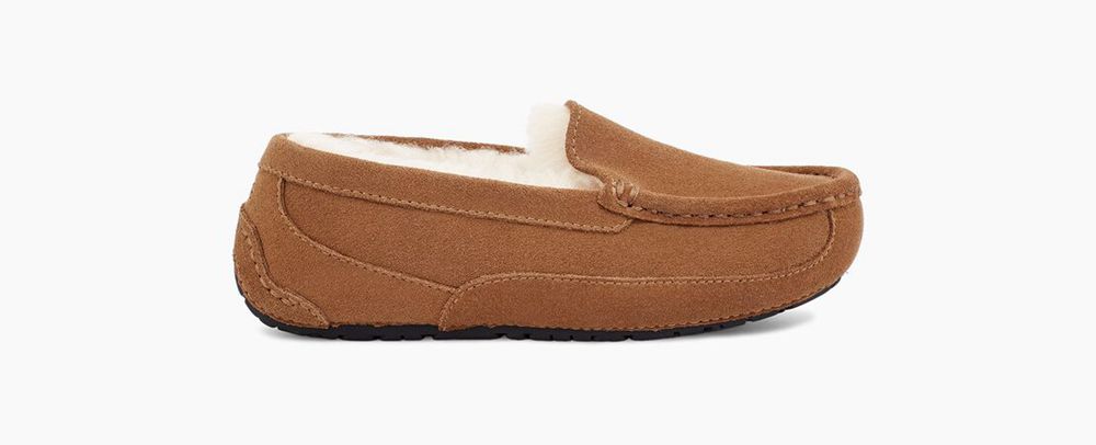 Ugg Slippers Canada - Ugg Kids' Ascot Brown